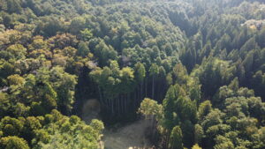 林業専用道（規格相当）角井線開設工事